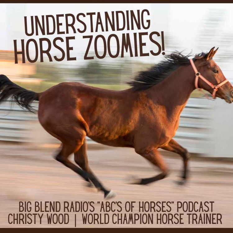 cover art for Understanding Horse Zoomies with Christy Wood