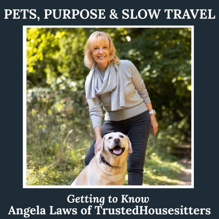 cover art for Pets, Purpose & Slow Travel