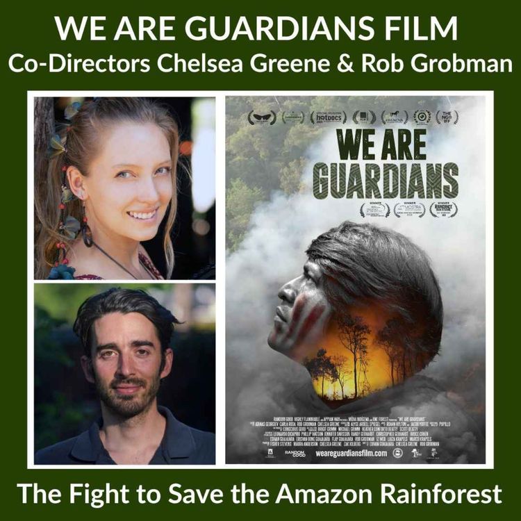 cover art for We Are Guardians Film