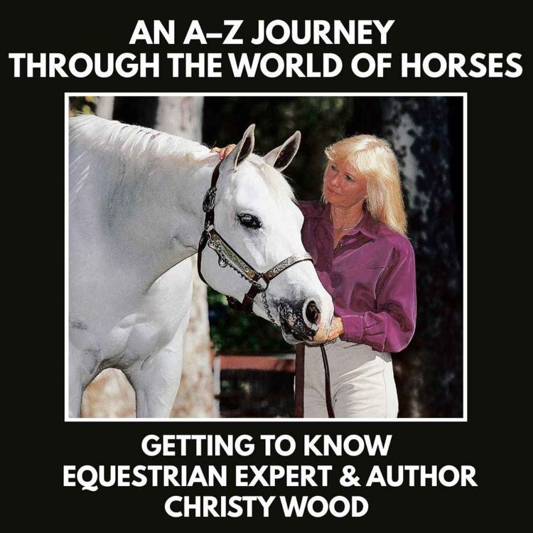 cover art for Getting to Know Horse Expert Christy Wood
