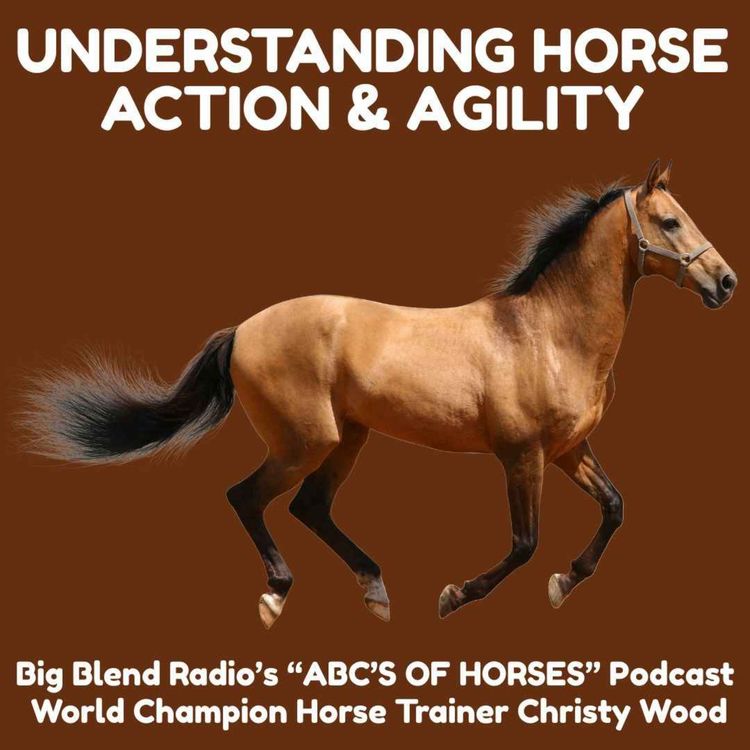cover art for Understanding Horse Action & Agility