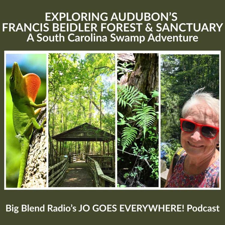 cover art for Exploring Audubon’s Francis Beidler Forest & Sanctuary