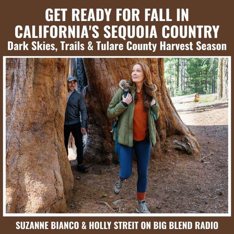 cover art for Early Fall in California's Sequoia Country
