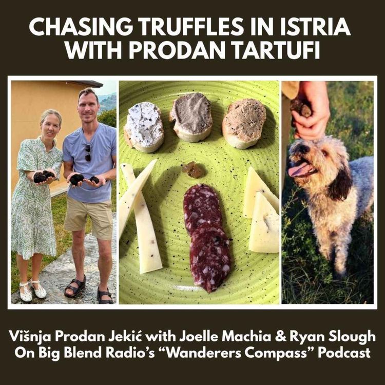 cover art for Chasing Truffles in Istria with Prodan Tartufi