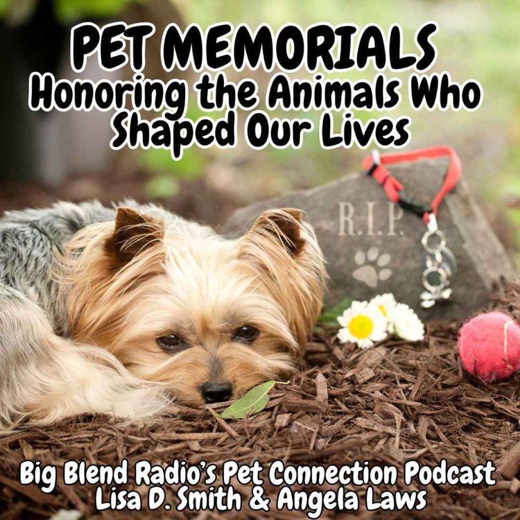 cover art for Pet Memorials: Honoring the Animals Who Shaped Our Lives