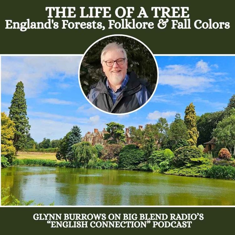 cover art for The Life of a Tree