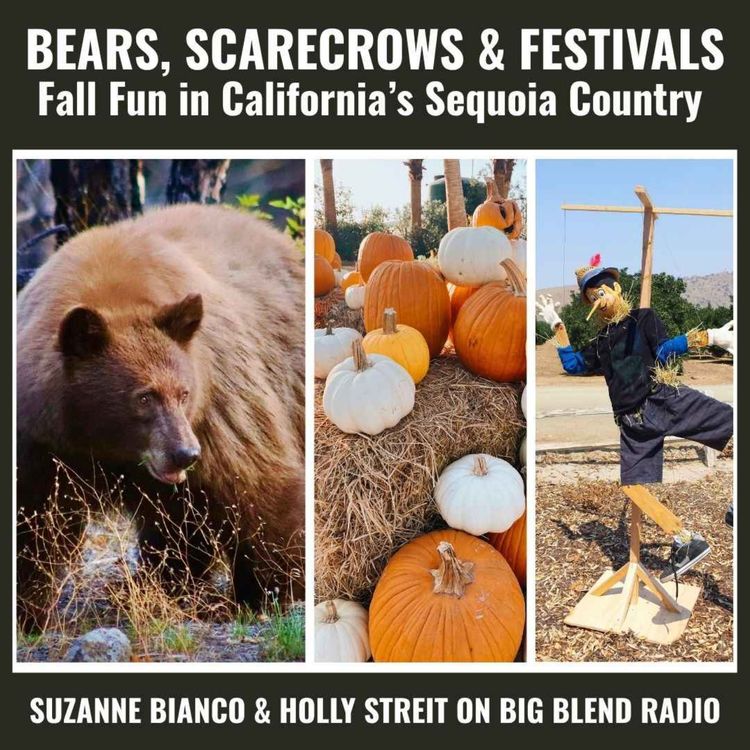 cover art for Bears, Scarecrows & Fall Festivals