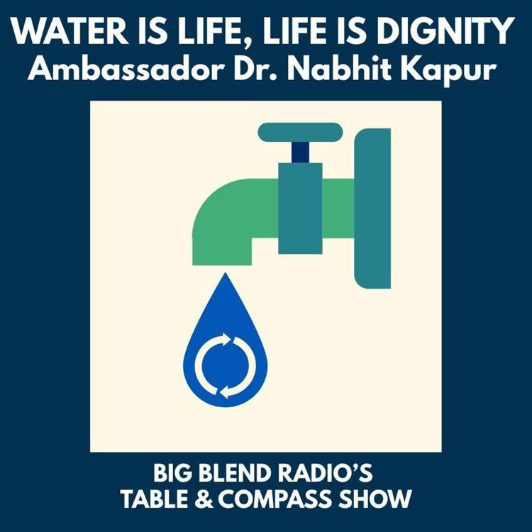cover art for Water Is Life, Life Is Dignity