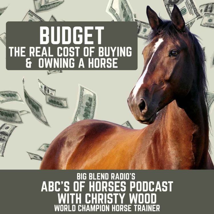 cover art for Budget: The Real Cost of Buying and Owning a Horse