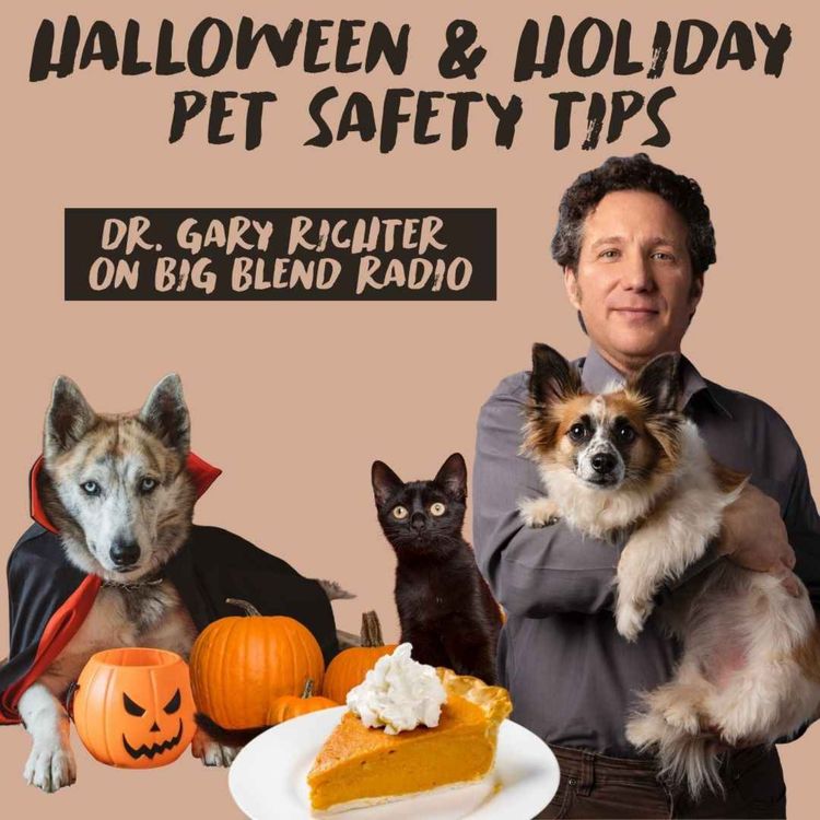 cover art for Dr. Gary Richter: Halloween & Holiday Pet Safety Tips