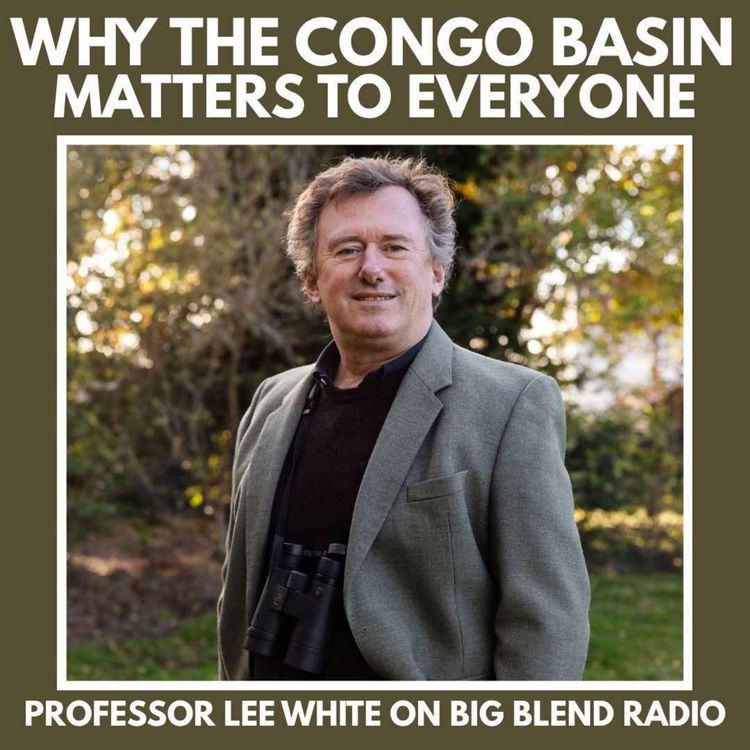 cover art for Why the Congo Basin Matters to Everyone