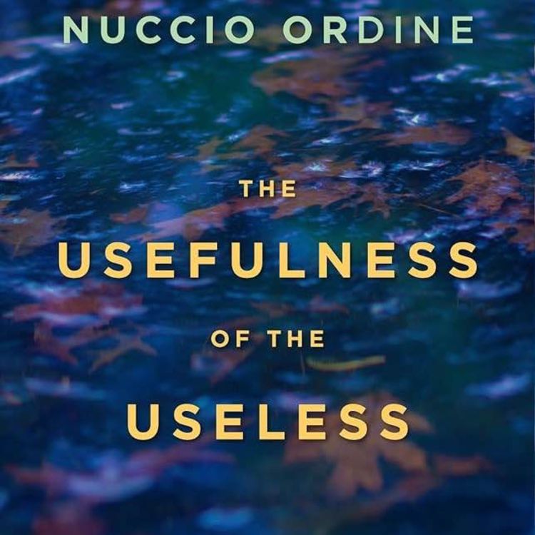 cover art for Week 60 The Usefulness of the Useless