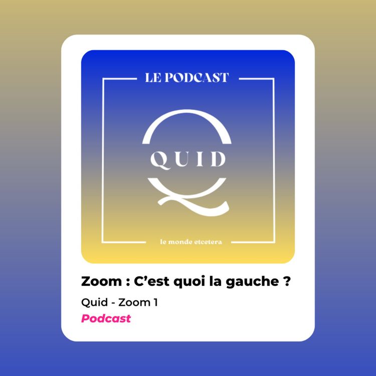 cover art for ZOOM #1 : C'est quoi la gauche ?  