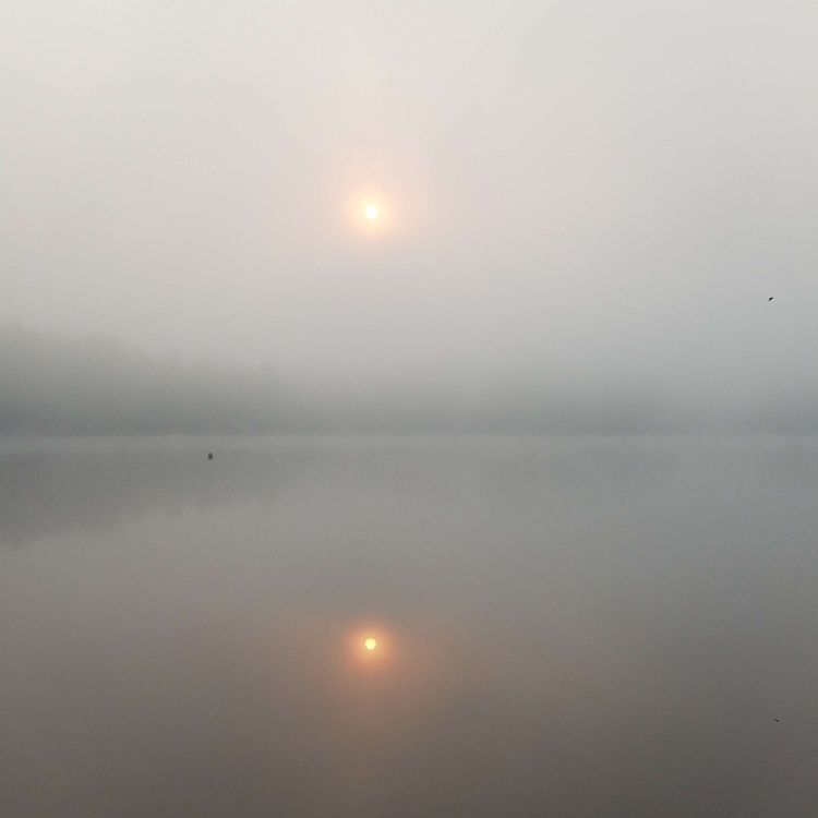 cover art for heart beat 99bpm