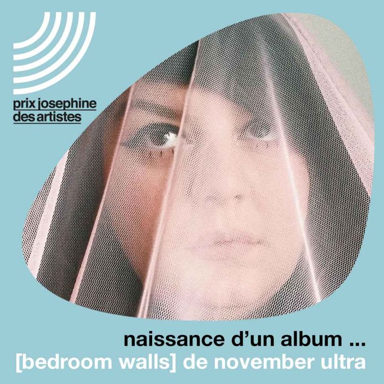 cover art for Les prémices