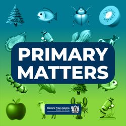 cover art for Primary Matters 