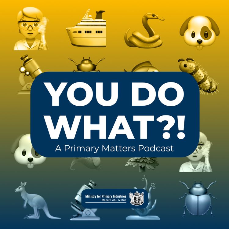 cover art for You do what?! - Where's Wally?