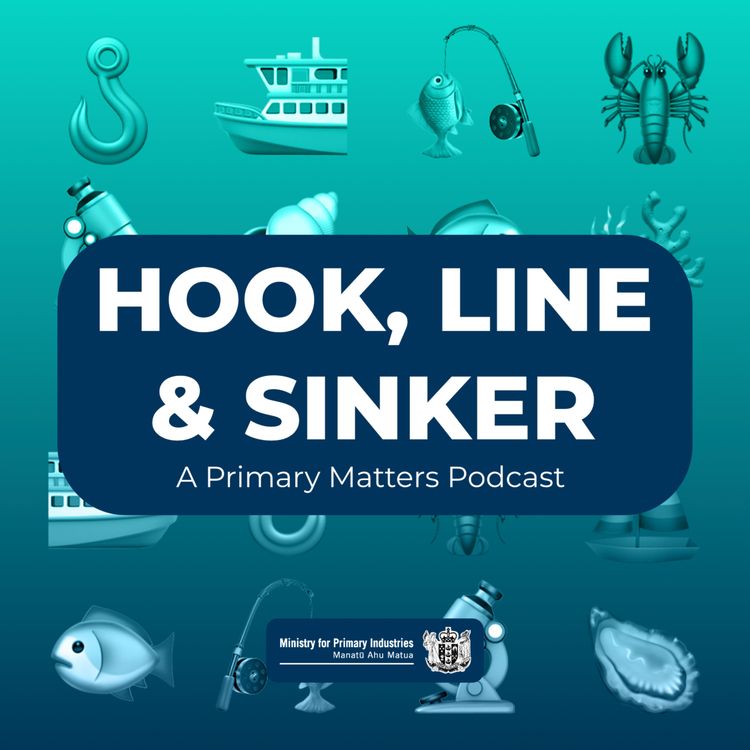 cover art for Hook, Line & Sinker - An Anchor in Stormy Waters