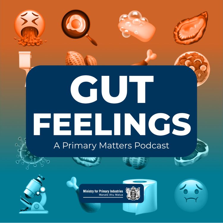 cover art for Gut Feelings: Date Expectations