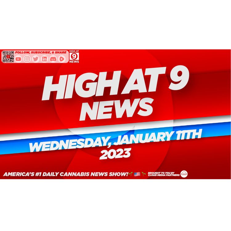 cover art for High At 9 News : Wednesday January 11th, 2023