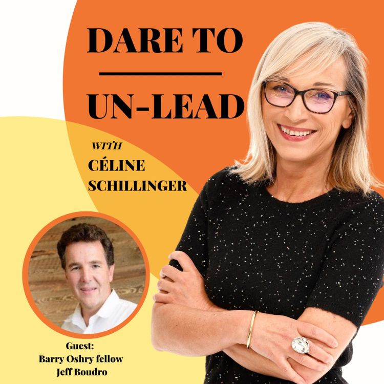 cover art for Power and Systems in the Workplace: Barry Oshry Fellow Jeff Boudro