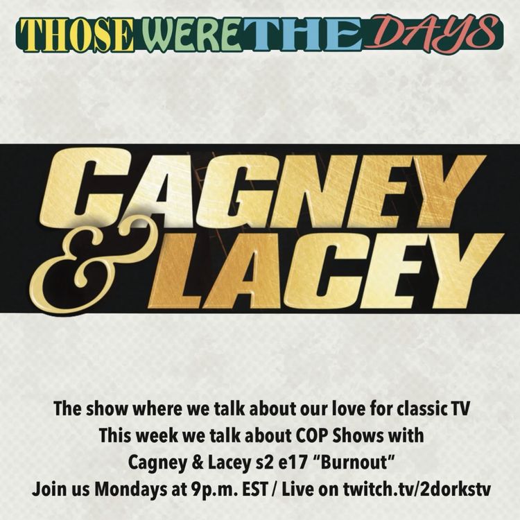 cover art for Cagney and Lacey - S2E17