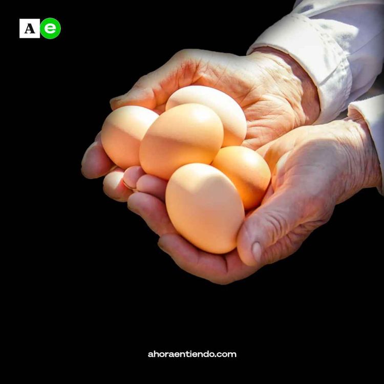 cover art for ¿Por qué el huevo está tan caro últimamente?