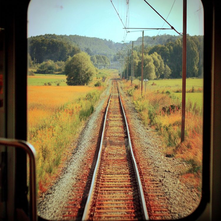 cover art for A Small Peace in a Stone Room