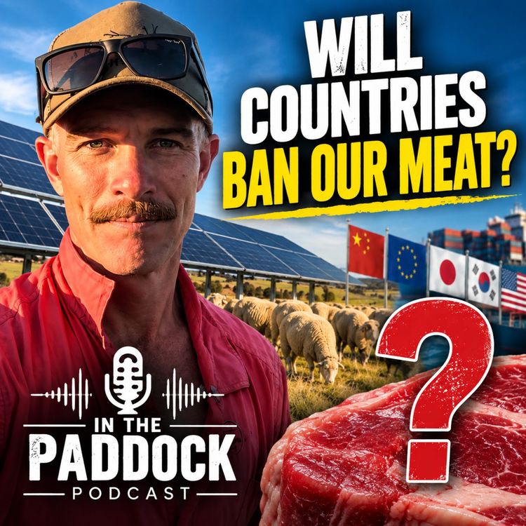 cover art for Will Solar and Wind Destroy Our Meat Exports