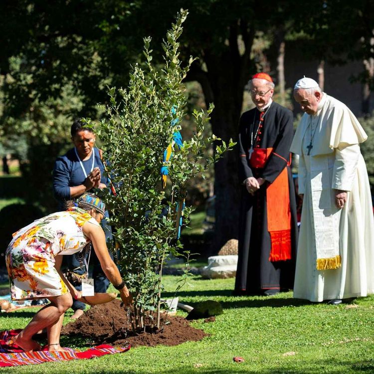 cover art for Tập 327 | Đức Giáo hoàng Francis có ảnh hưởng lớn thế nào lên phong trào khí hậu toàn cầu?