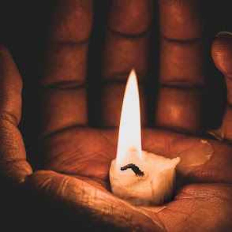 cover art for Tập 348 | Nếu được, bạn sẽ chọn cuộc sống bất tử chứ?