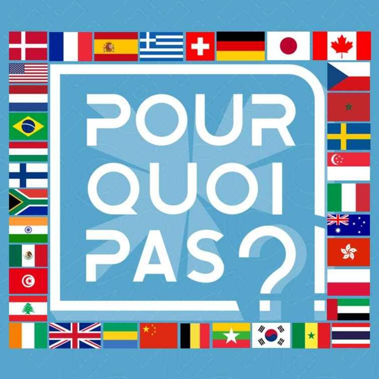 cover art for Pourquoi pas ?!_Codevelopment_Long version