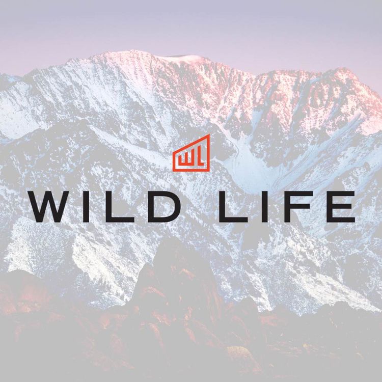 cover art for Fathered by God