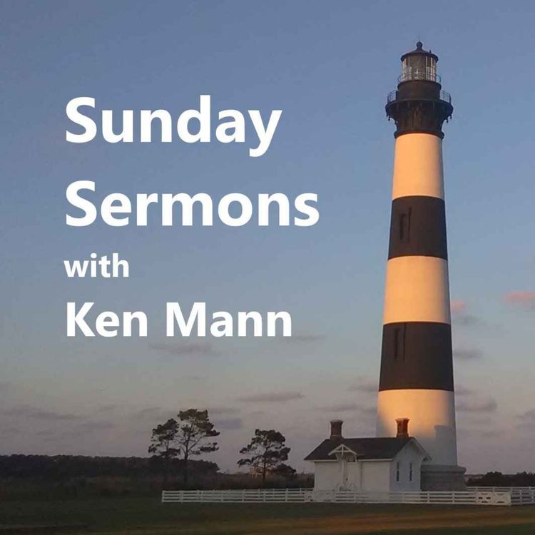 cover art for Joy in the Struggle, from Captain Marty Brill