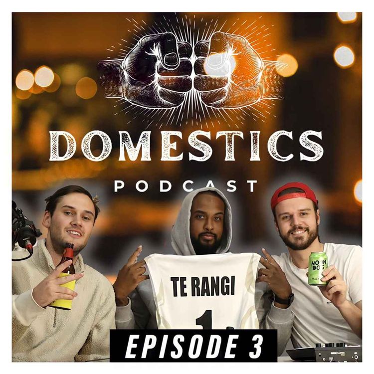 cover art for #3 - KEEP KIDS OUT OF SCHOOL | The Domestics Podcast
