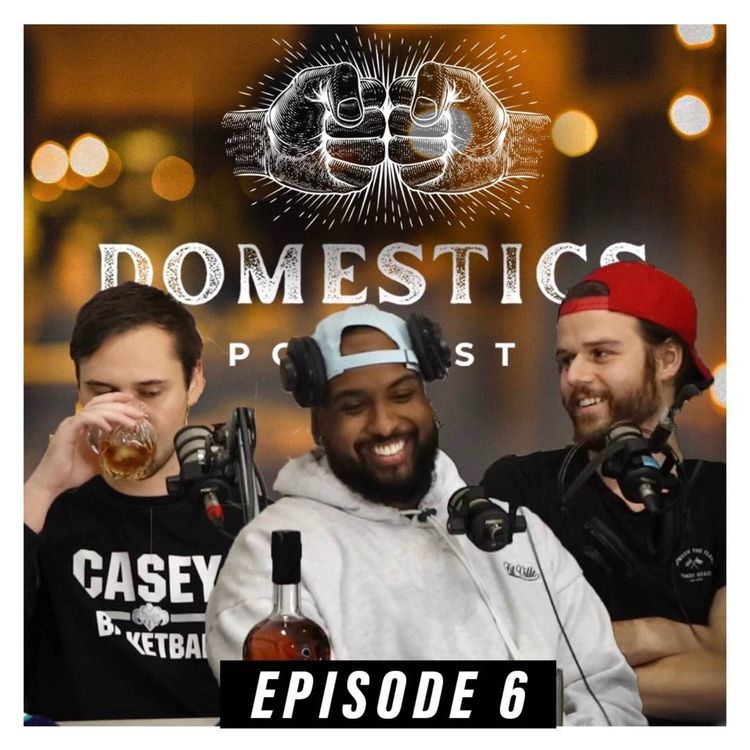 cover art for #6 - Hitchhikers Anonymous | Domestics Podcast