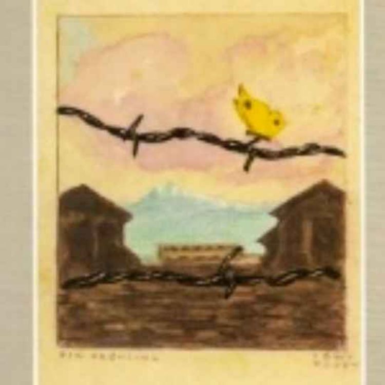 cover art for Dialogues35#samedi 26 avril 2025- des frontières ou des murs -penser le droit d'hospitalité (épisode 3)