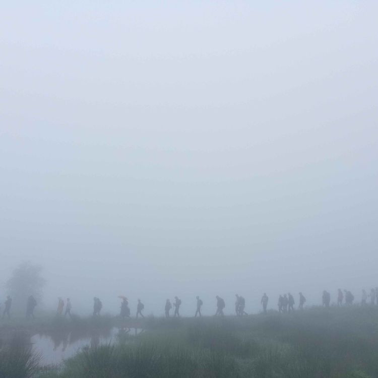 cover art for Dialogues 41# samedi 14 juin: Festival d'éco-poétique "le murmure du monde" en val d'Azun