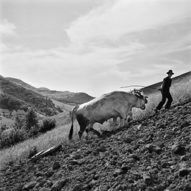 cover art for Dialogues 42# samedi 20 septembre 2025:  "Dès la terre": Garder le paysage: conversation avec 4 ingénieurs agronomes.