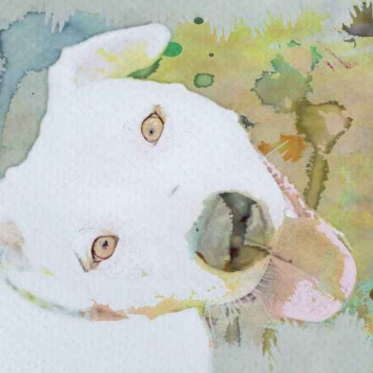 cover art for Confelicity