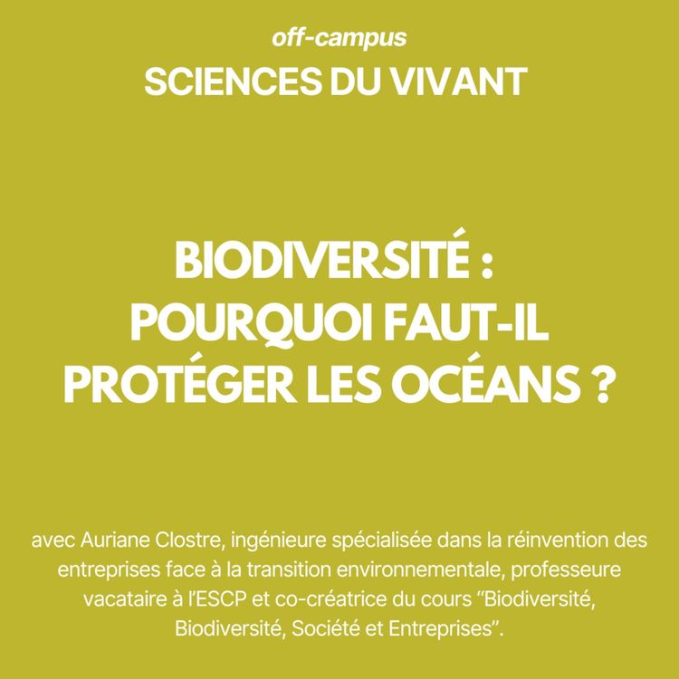 cover art for "Pourquoi faut-il protéger les océans ?"