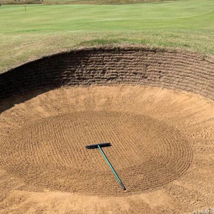 cover art for 🏌🏾♀️Best Of: Mark Allen's Top 5 Worst Rules in Golf History
