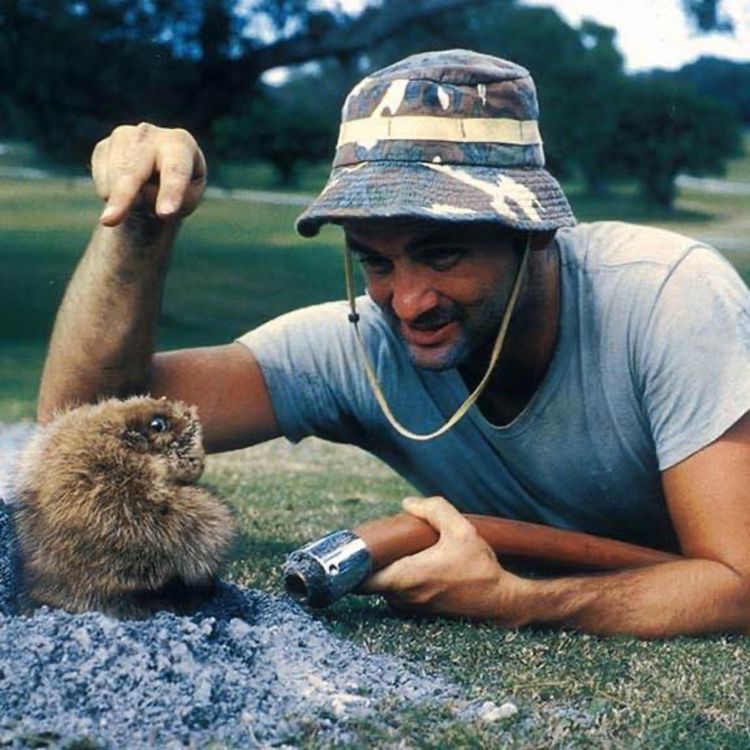 cover art for 🏌🏾‍♀️Best Of: Mark Allen's Top 5 Golf Movies of All Time