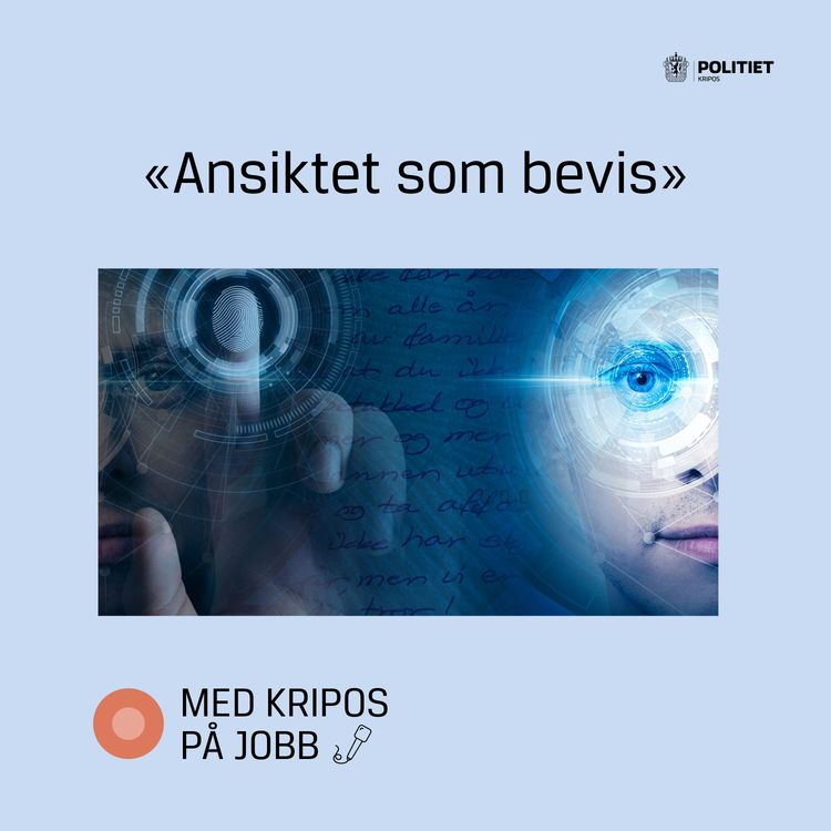 cover art for «Ansiktet som bevis»