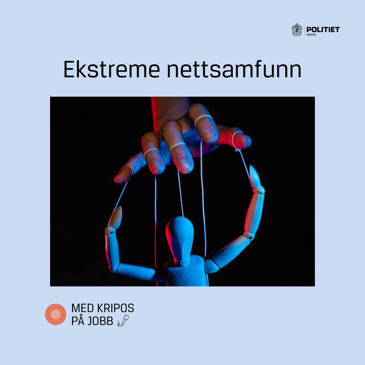 cover art for Ekstreme nettsamfunn