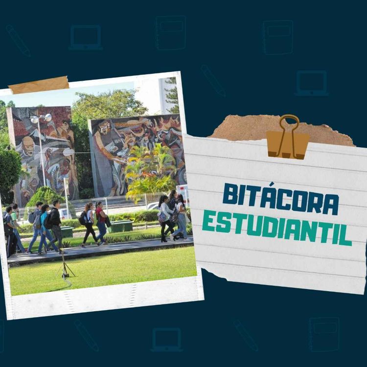 cover art for Licenciatura en Comercialización y Ventas (en línea)