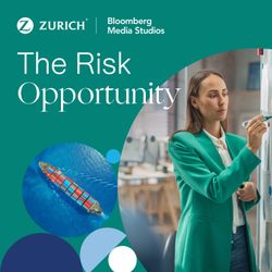 cover art for The Risk Opportunity