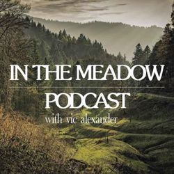 cover art for In The Meadow