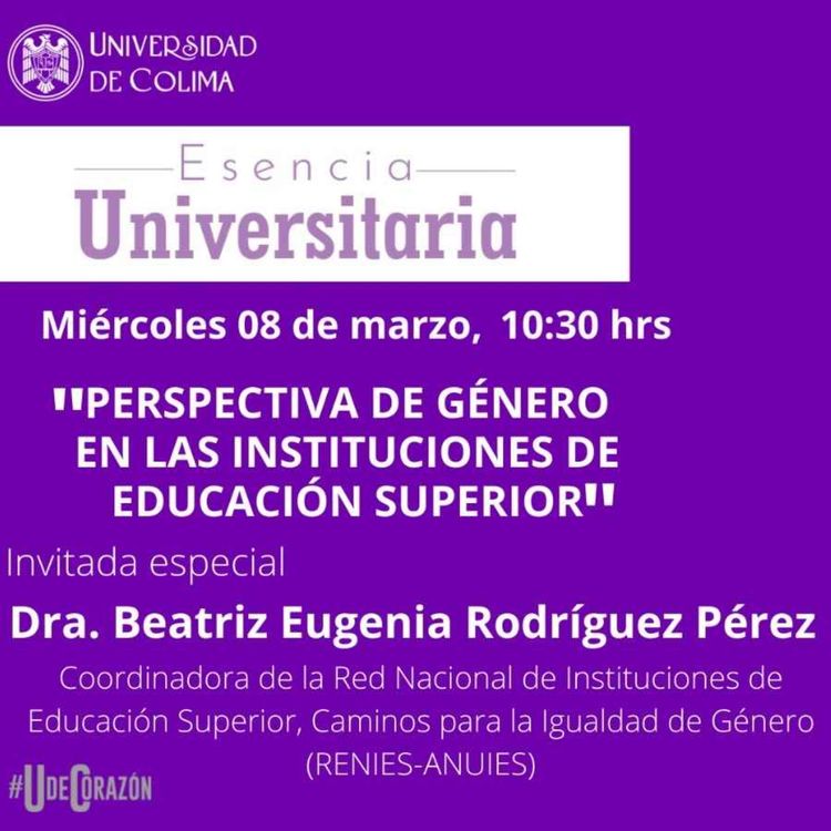 cover art for Perspectiva de Género en las Instituciones de Educación Superior