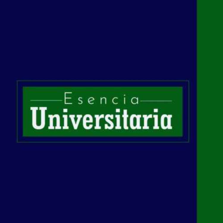 cover art for Desarrollo de los archivos en la historia de las universidades 